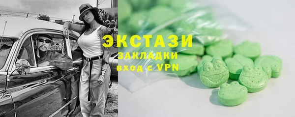 гашик Ельня