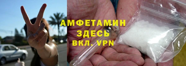 гашик Ельня