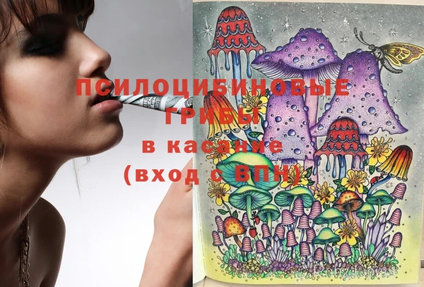 шишки Абдулино