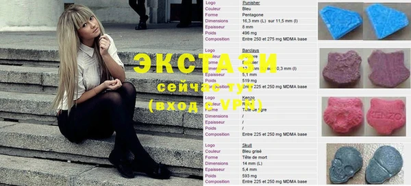 гашик Ельня