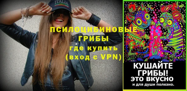 шишки Абдулино