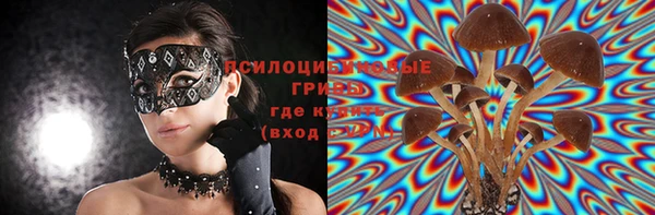 кристаллы Покровск