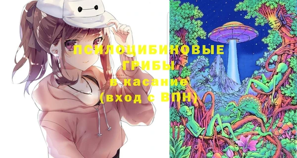 шишки Абдулино